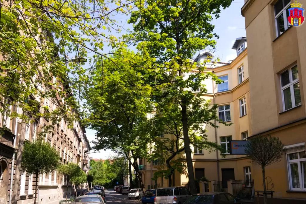 Live Like Locals: Market Square X Jewish District Krakau Zimmer foto